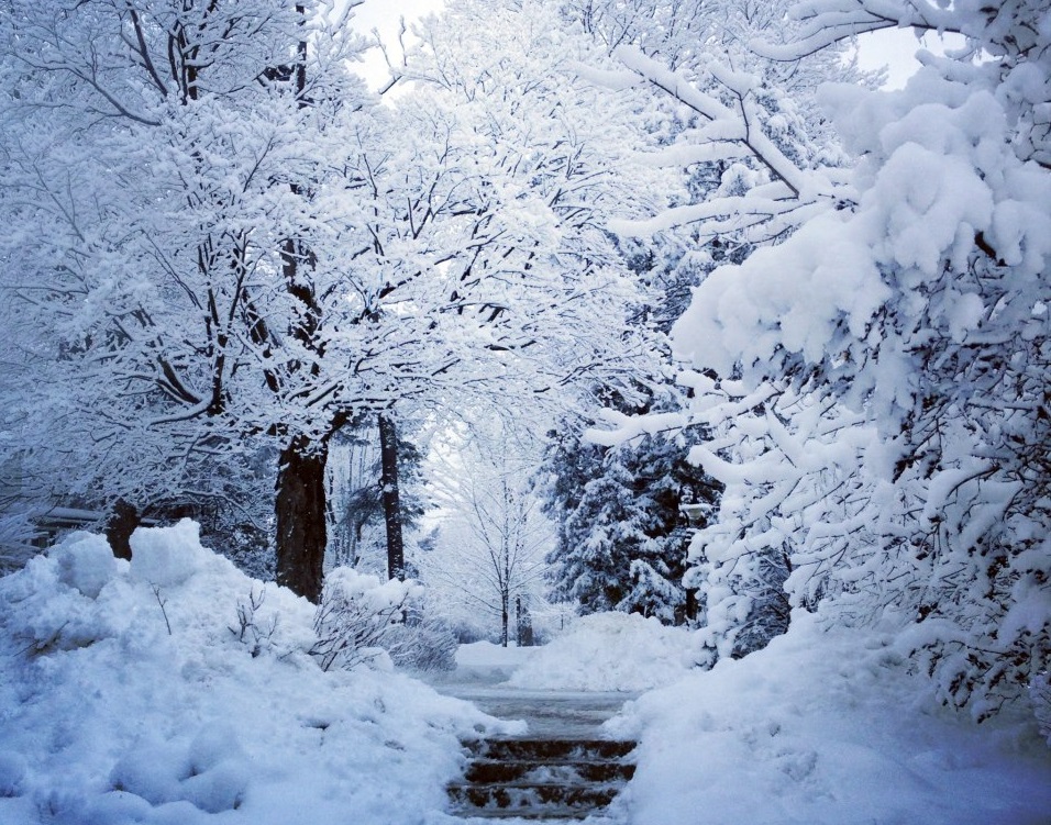 Students are encouraged to explore the beautiful wintertime sights of our campus