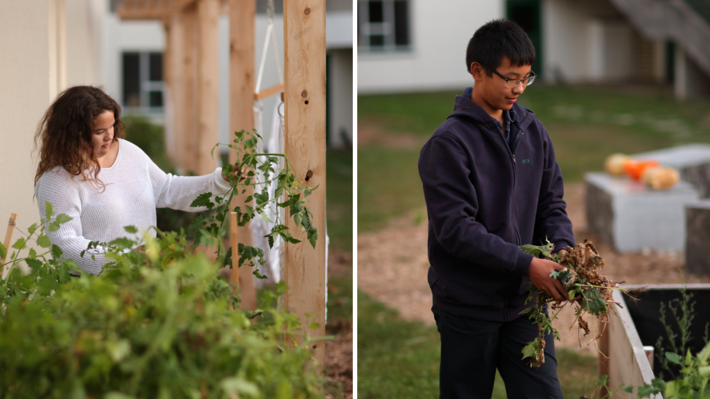 A female student assesses a vine and a male student holds weeds he just pulled from the garden